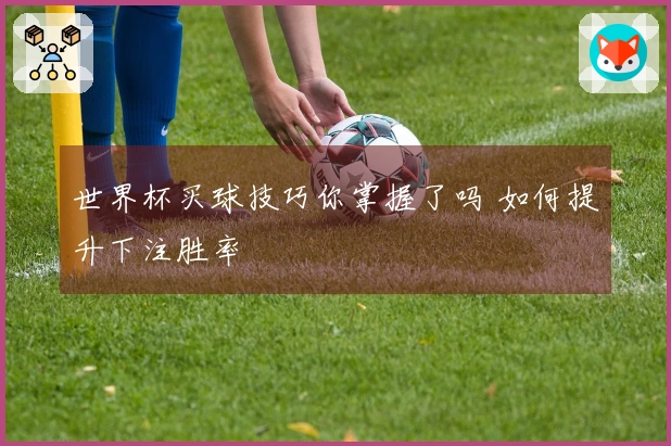 世界杯买球技巧你掌握了吗 如何提升下注胜率
