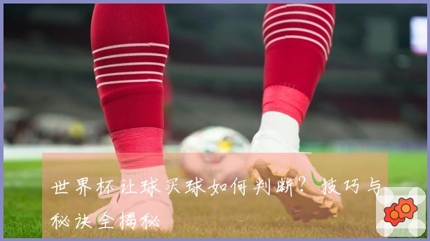 世界杯让球买球如何判断？技巧与秘诀全揭秘