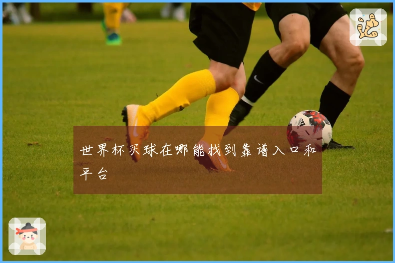 世界杯买球在哪能找到靠谱入口和平台